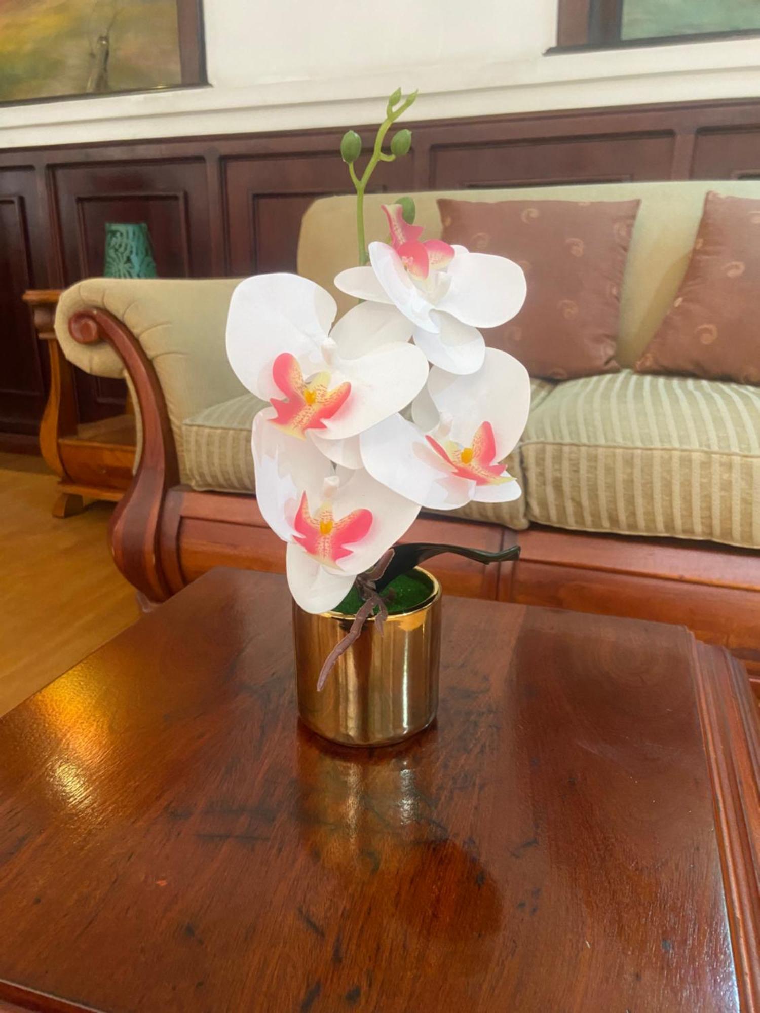 Hotel Coronel Куэнка Экстерьер фото